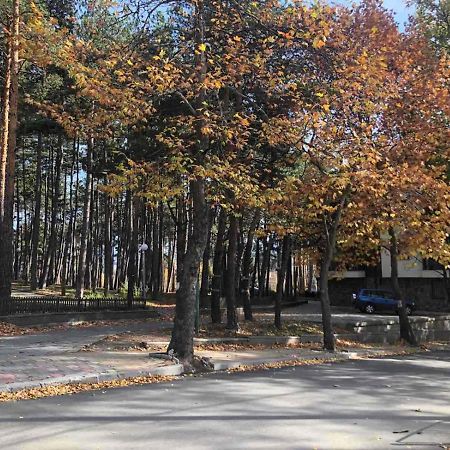 شقة Borov Park 1 فيلينغراد المظهر الخارجي الصورة