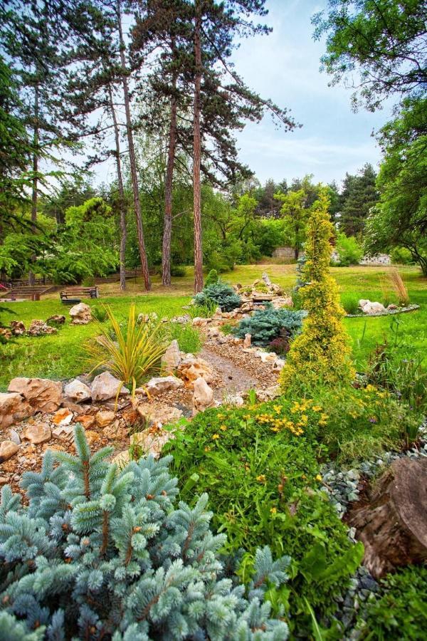شقة Borov Park 1 فيلينغراد المظهر الخارجي الصورة
