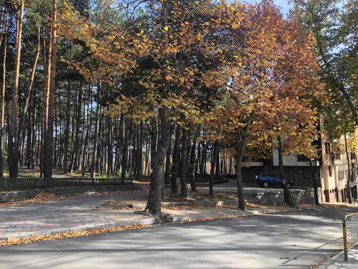 شقة Borov Park 1 فيلينغراد المظهر الخارجي الصورة