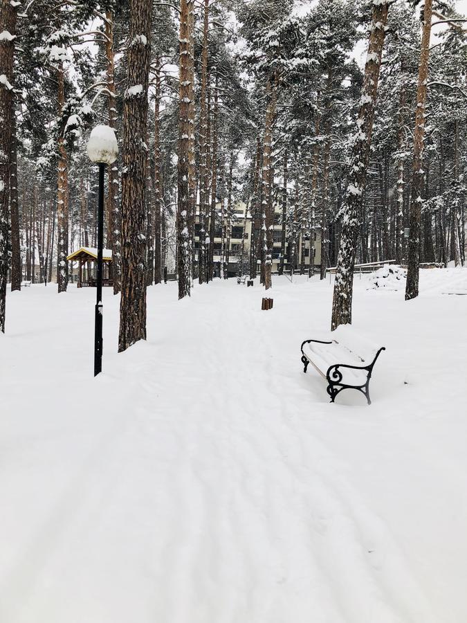 شقة Borov Park 1 فيلينغراد المظهر الخارجي الصورة