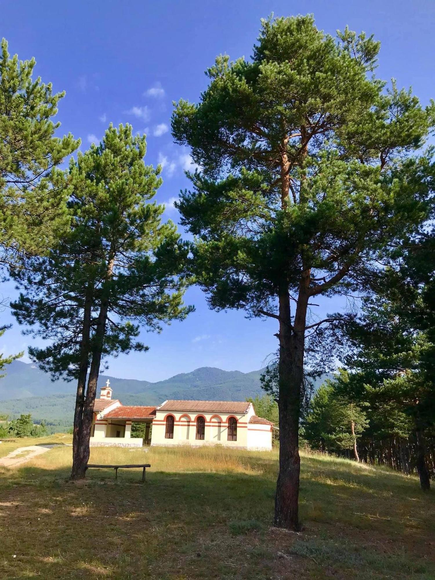 شقة Borov Park 1 فيلينغراد المظهر الخارجي الصورة