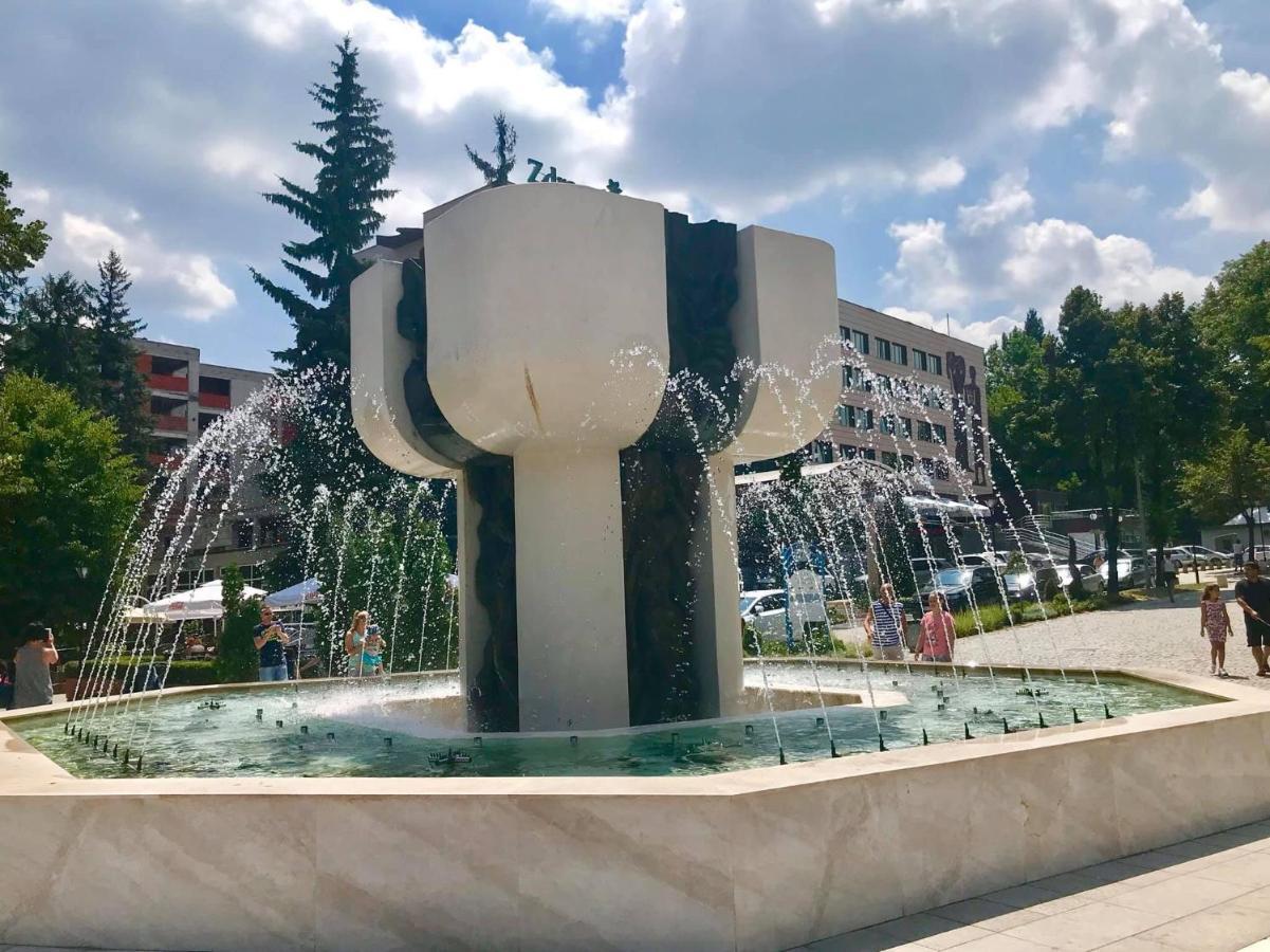 شقة Borov Park 1 فيلينغراد المظهر الخارجي الصورة